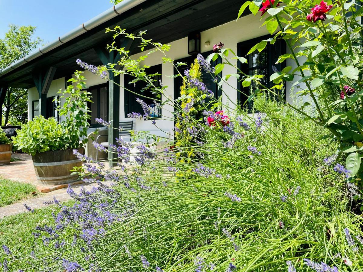 Lelle Vineyard Cottages Balatonlelle Bagian luar foto
